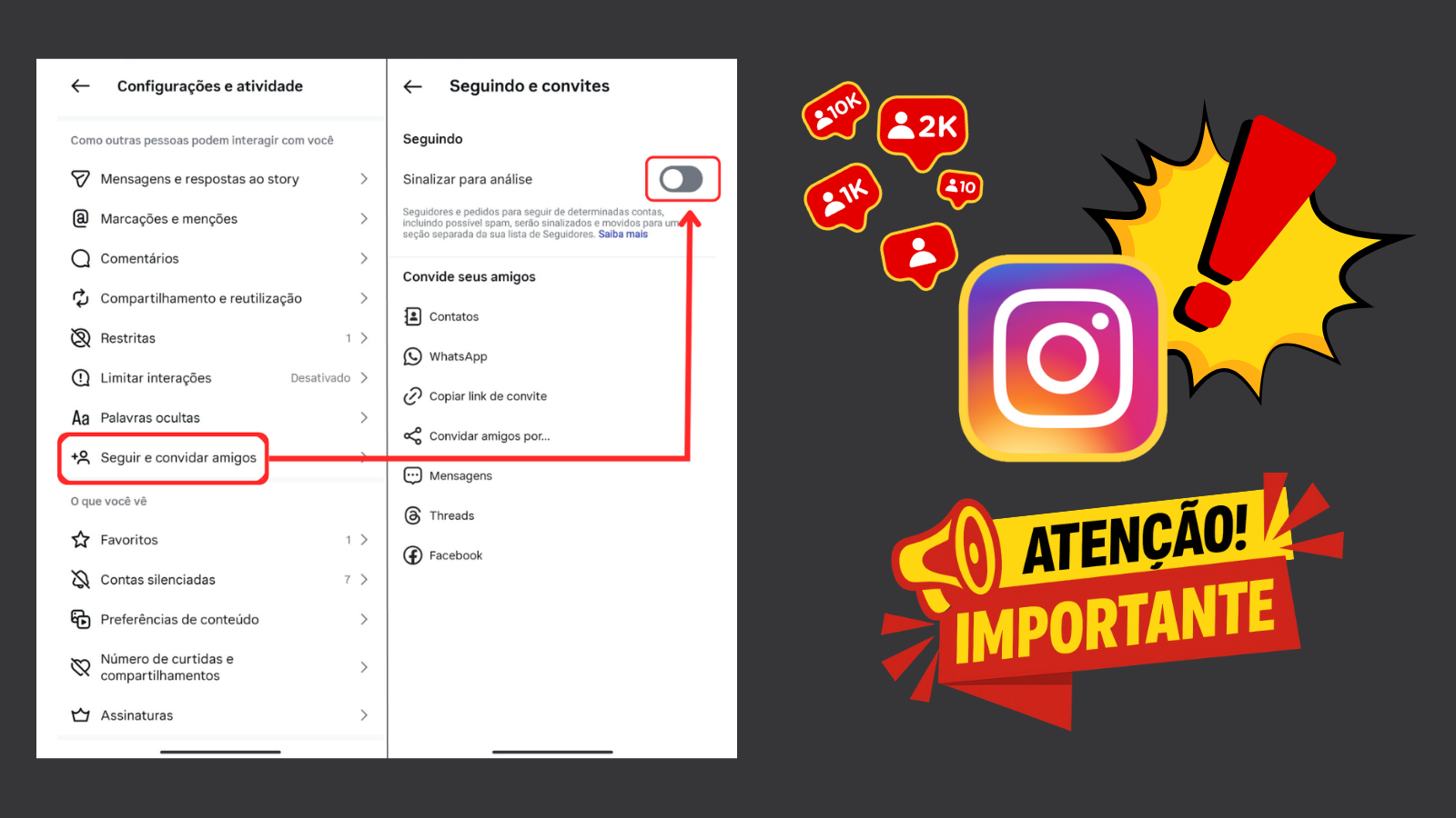 Desative o botão FLAG para garantir que os seguidores sejam recebidos no Instagram.